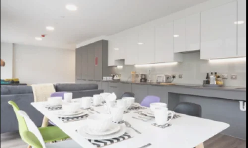 Cuisine Résidence Brickfield Lane à Dublin