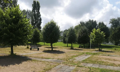 Centre Valéry Larbaud - Sports Elite Jeunes