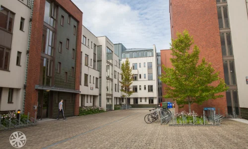 Trinity Hall Summer Residence Dublin Cour