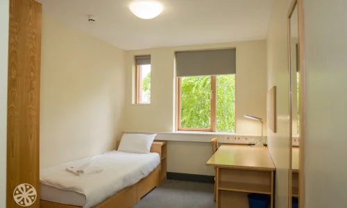 Trinity Hall Summer Residence Dublin Chambre Simple