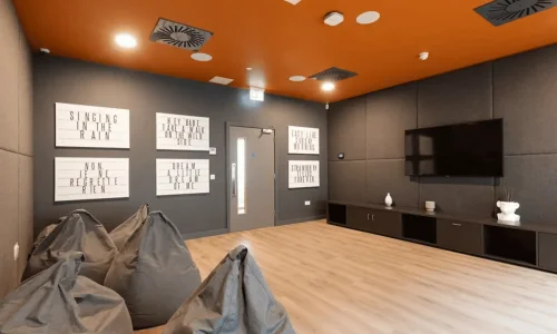 Salle de cinéma Résidence Brickworks