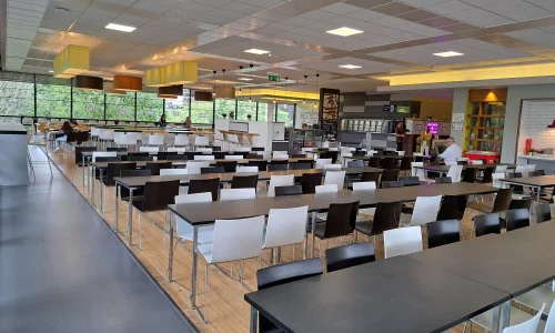 Cantine résidence UCD Dublin - programme 16-19 ans