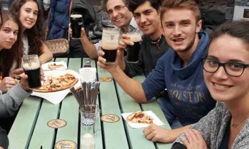 limerick language center 2