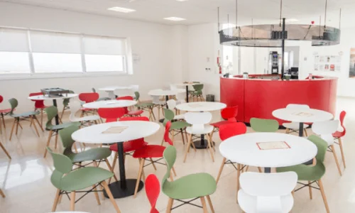 atlas language school malta 6