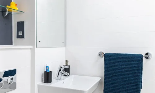 west wing salle de bain privée