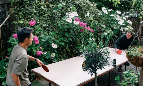 Table de ping pong Auberge Ani & Haakien - Rotterdam