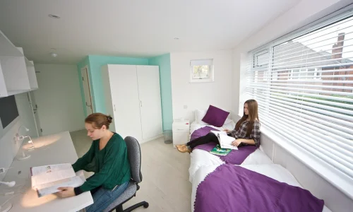 Chambre double Résidence Charminster - Bournemouth