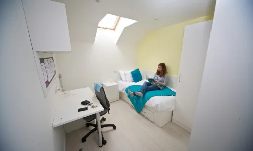 Chambre simple Résidence Charminster - Bournemouth