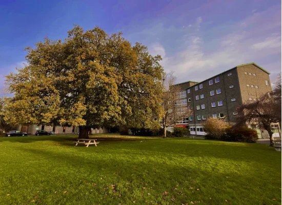 ATLAS Dublin Rathmines Residence & Outdoor Nature