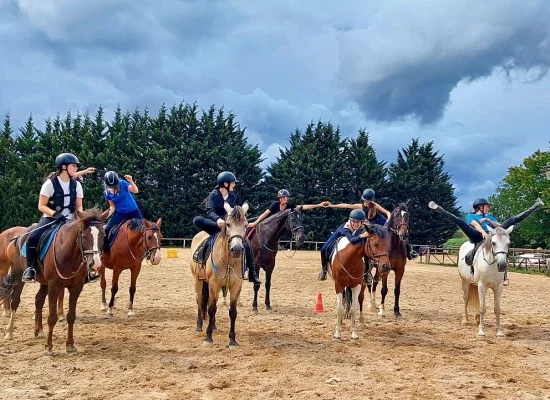 Groupe de cavaliers et leurs chevaux lors d'un stage d'équitation