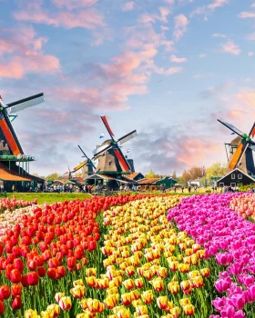 Découvrir nos séjours linguistiques aux Pays-Bas