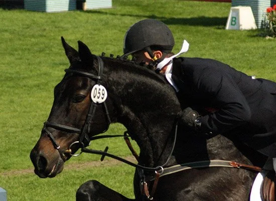 equitation sejour linguistique portsmouth