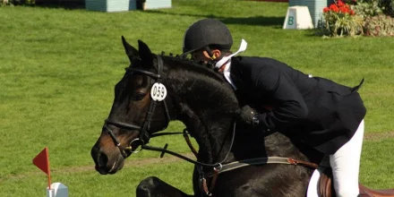 equitation sejour linguistique portsmouth