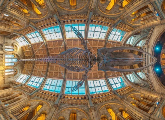 national museum londres