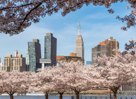 Anglais et visite de New York - Etats-Unis - CLC