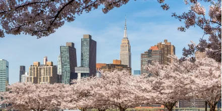 Anglais et visite de New York - Etats-Unis - CLC