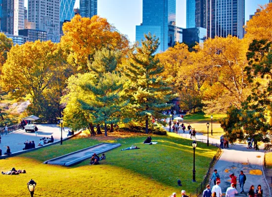 paysage automne new york