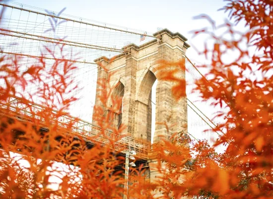 automne new york