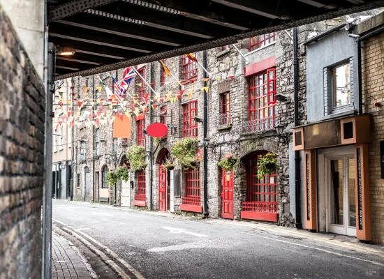 Cours particuliers chez le professeur Dublin