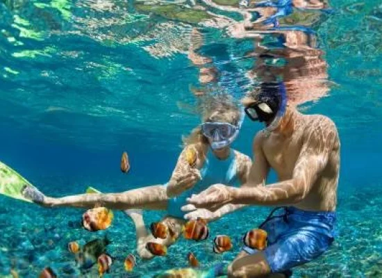 Plongée sous marine