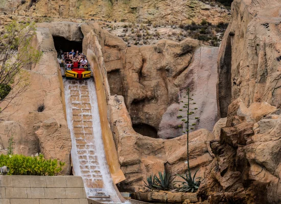 Cours d'anglais, visites culturelles, sport et parc d'attractions