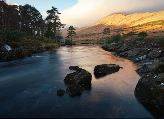 Découverte de l'Irlande et progression en anglais pour jeunes français