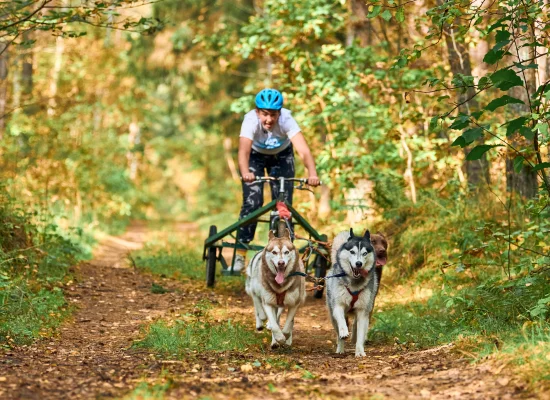 Séjour pendant les vacances en France et en pleine nature
