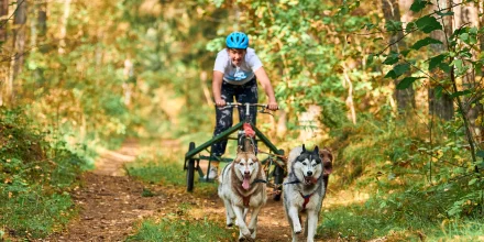 Séjour pendant les vacances en France et en pleine nature