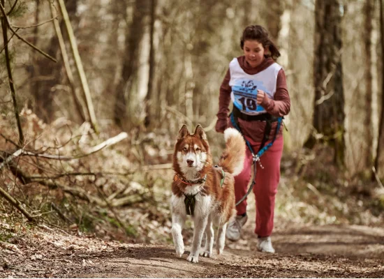 Colo de vacances activités avec les chiens de traineaux