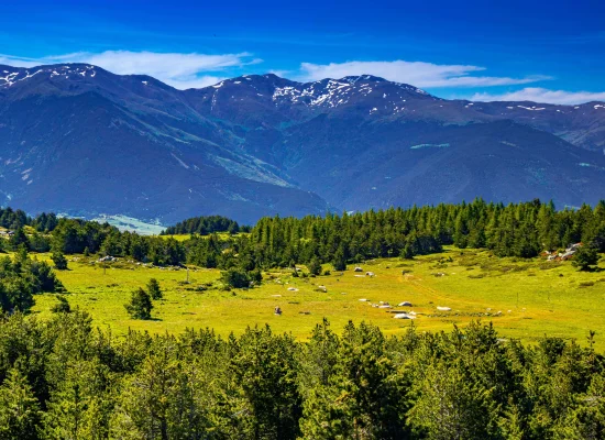Séjour dans les pyrénées pour les vacances de votre enfant