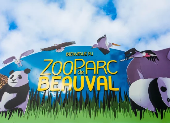 Séjour pour enfants et ados avec entrée au ZooParc de Beauval