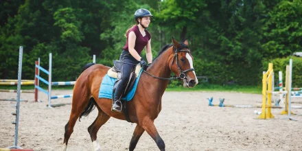 Cavalière et son cheval pendant une reprise