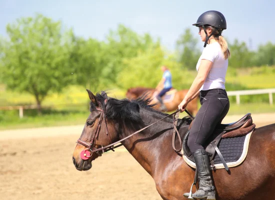 Cavalière avec son cheval durant un cours d'équitation collectif