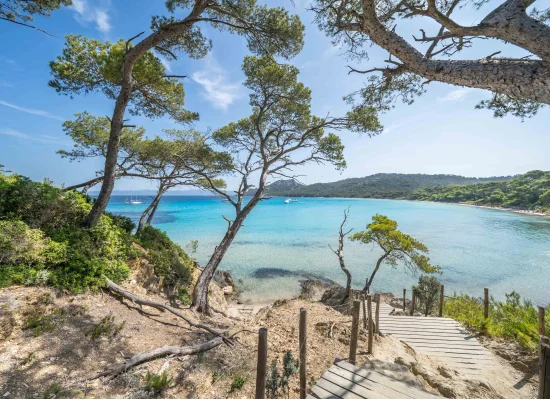 Plage sur l'île de Porquerolles
