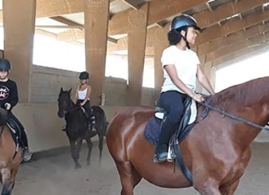équitation au domaine à Saint Cyran