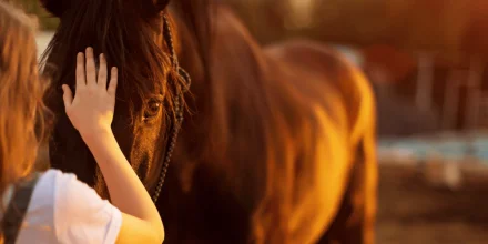 Anglais et équitation au domaine à Saint Cyran