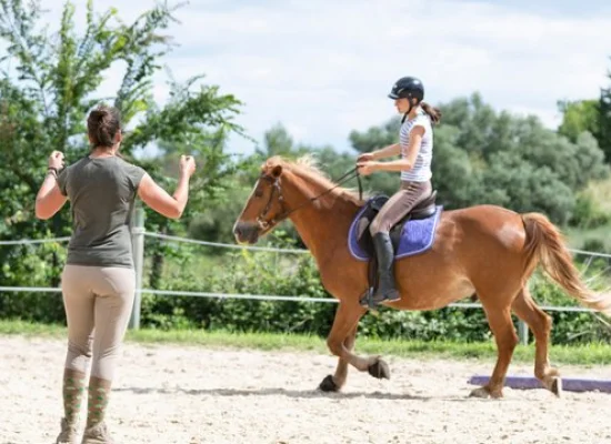 initiation à l'équitation