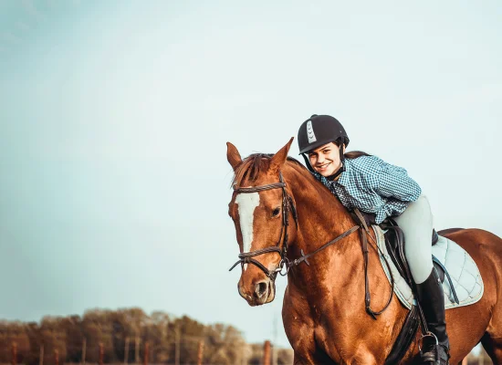 Cours d'anglais et équitation - Woodbridge - Angleterre