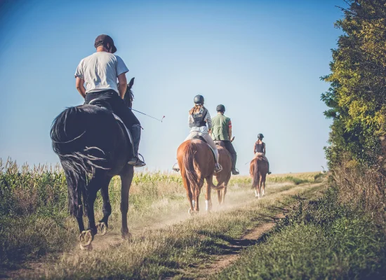 Balade à cheval à Woodbridge