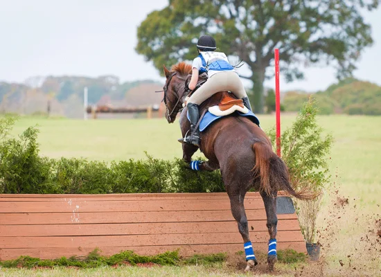 Sauts à cheval à Woodbridge