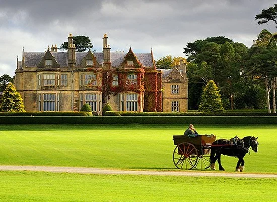 muckross house sejour linguistique killarney