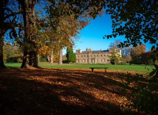 Séjour linguistique Angleterre - Summer camp à Windmill Hill - CLC