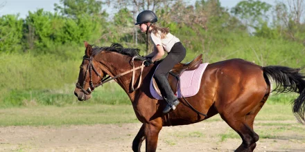 equitation sejour linguistique finborough