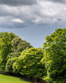 sejour linguistique waterford