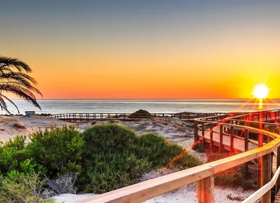 Découvrir nos séjours linguistiques à Alicante