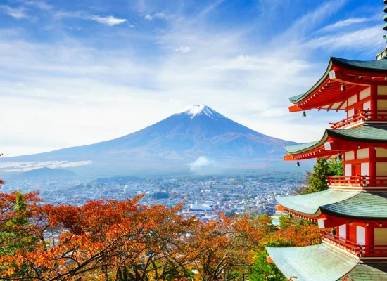 Découvrir nos séjours linguistiques à Tokyo