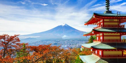 Découvrir nos séjours linguistiques à Tokyo