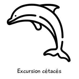 excursion cétacés