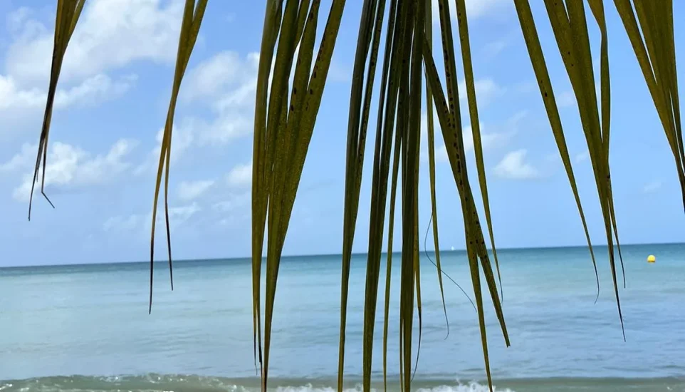 Plage