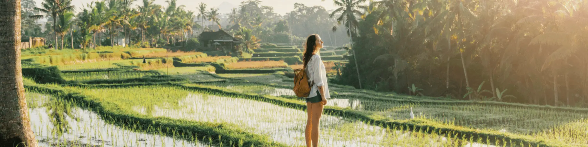 bali nouvelles règles mars 2025